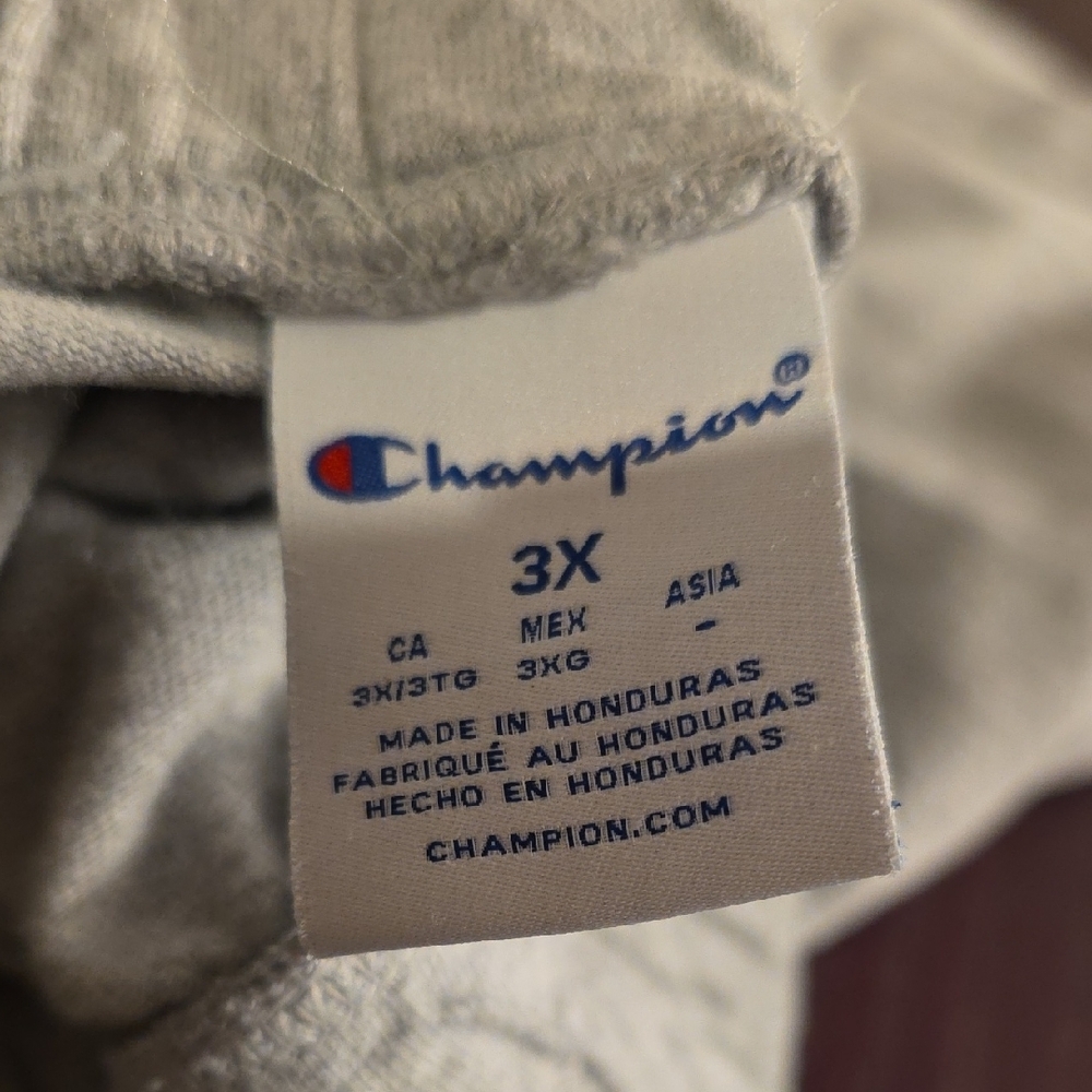 Champion Heather Gray Casual Shorts - Picture 2 of 2
